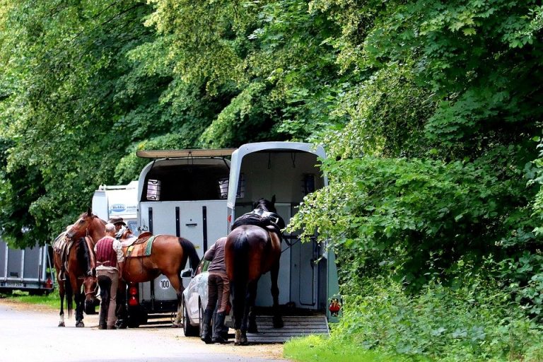 Over ons Paardentrailer met oprolbare zeil sluiting voor optimale ventilatie en paardentransport